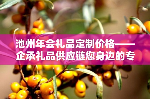 池州年会礼品定制价格——企承礼品供应链您身边的专业礼品定制公司