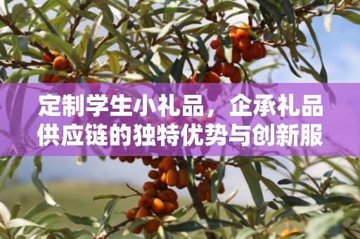 定制学生小礼品，企承礼品供应链的独特优势与创新服务