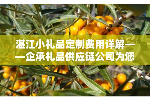湛江小礼品定制费用详解——企承礼品供应链公司为您解析