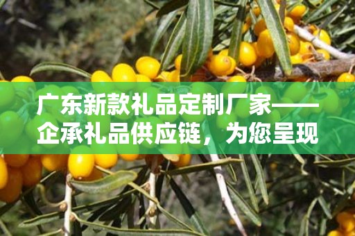 广东新款礼品定制厂家——企承礼品供应链，为您呈现独特定制体验