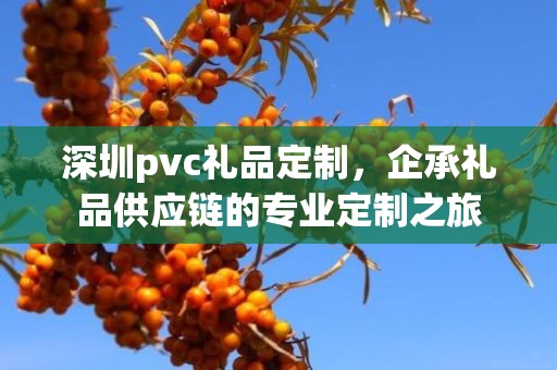 深圳pvc礼品定制，企承礼品供应链的专业定制之旅