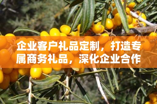 企业客户礼品定制，打造专属商务礼品，深化企业合作关系