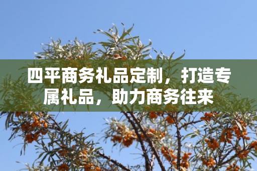 四平商务礼品定制，打造专属礼品，助力商务往来