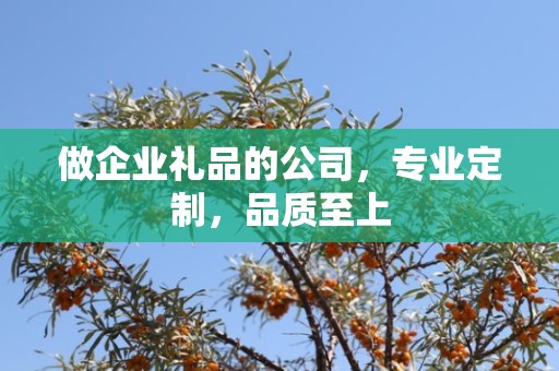 做企业礼品的公司，专业定制，品质至上