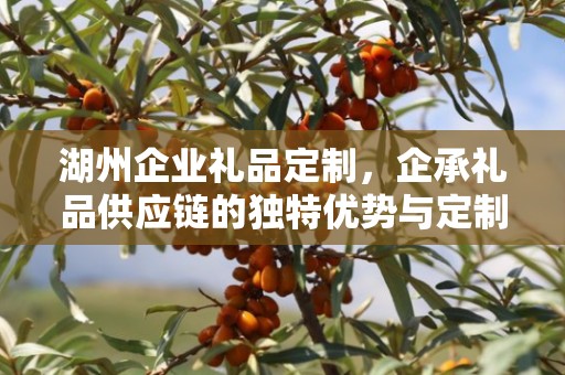 湖州企业礼品定制，企承礼品供应链的独特优势与定制体验