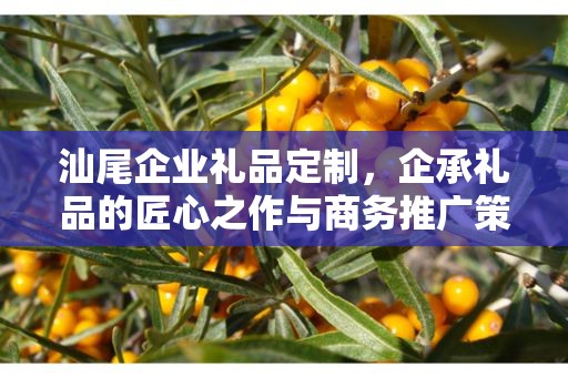 汕尾企业礼品定制，企承礼品的匠心之作与商务推广策略