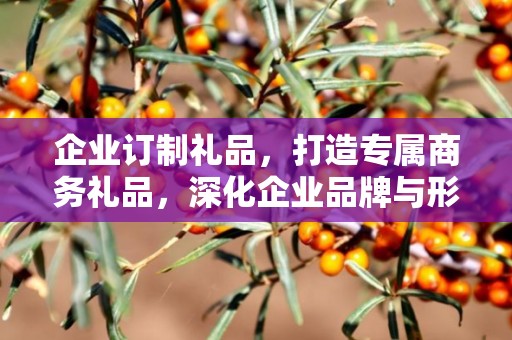 企业订制礼品，打造专属商务礼品，深化企业品牌与形象