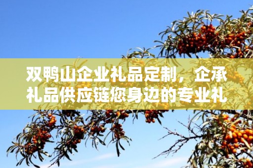 双鸭山企业礼品定制，企承礼品供应链您身边的专业礼品定制公司
