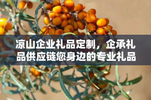 凉山企业礼品定制，企承礼品供应链您身边的专业礼品定制公司