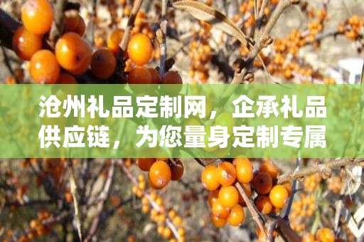 沧州礼品定制网，企承礼品供应链，为您量身定制专属礼品