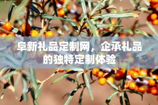 阜新礼品定制网，企承礼品的独特定制体验