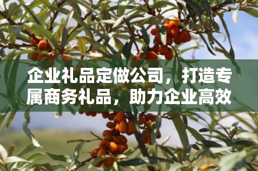 企业礼品定做公司，打造专属商务礼品，助力企业高效发展