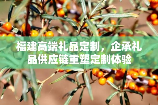 福建高端礼品定制，企承礼品供应链重塑定制体验