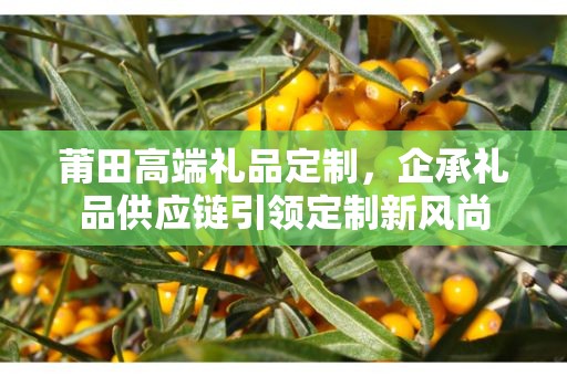莆田高端礼品定制，企承礼品供应链引领定制新风尚