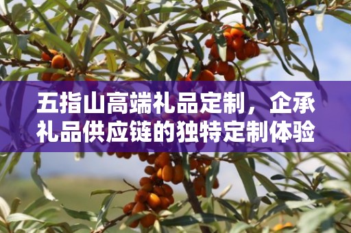 五指山高端礼品定制，企承礼品供应链的独特定制体验