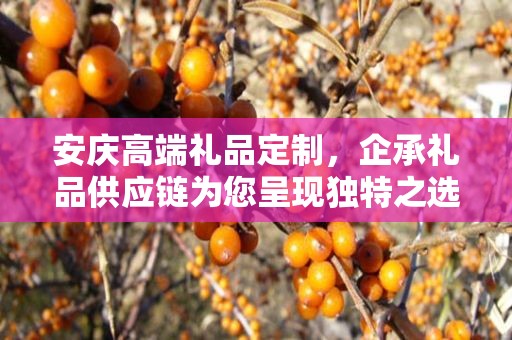 安庆高端礼品定制，企承礼品供应链为您呈现独特之选
