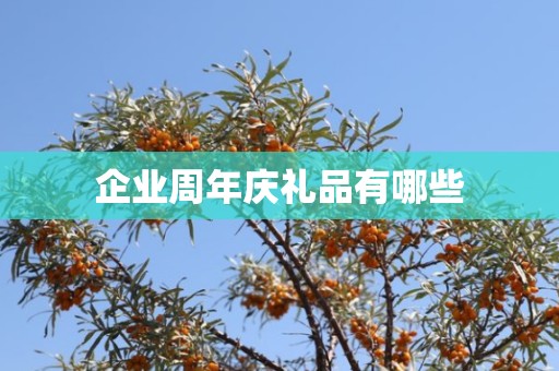 企业周年庆礼品有哪些