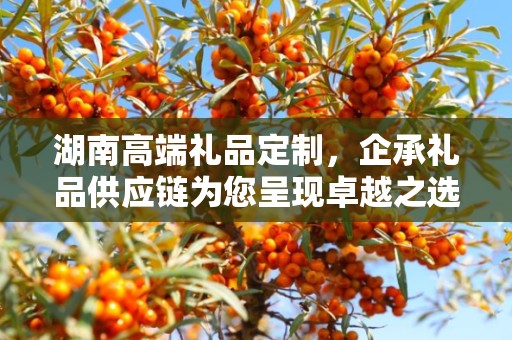 湖南高端礼品定制，企承礼品供应链为您呈现卓越之选