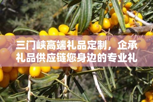 三门峡高端礼品定制，企承礼品供应链您身边的专业礼品定制公司