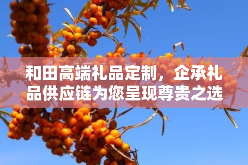 和田高端礼品定制，企承礼品供应链为您呈现尊贵之选