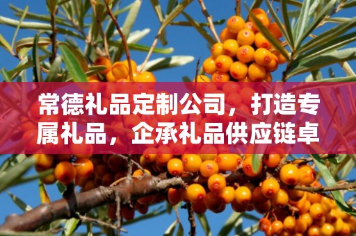 常德礼品定制公司，打造专属礼品，企承礼品供应链卓越服务