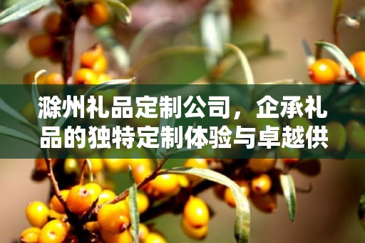 滁州礼品定制公司，企承礼品的独特定制体验与卓越供应链优势