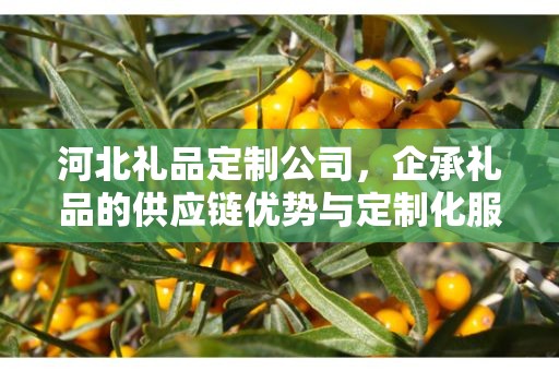 河北礼品定制公司，企承礼品的供应链优势与定制化服务