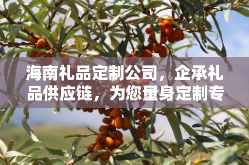 海南礼品定制公司，企承礼品供应链，为您量身定制专属礼品