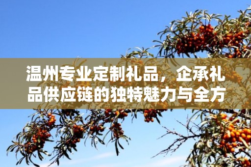 温州专业定制礼品，企承礼品供应链的独特魅力与全方位服务