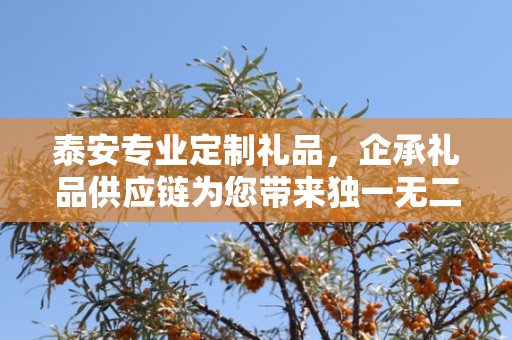 泰安专业定制礼品，企承礼品供应链为您带来独一无二的礼品体验