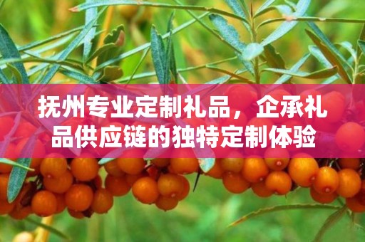 抚州专业定制礼品，企承礼品供应链的独特定制体验
