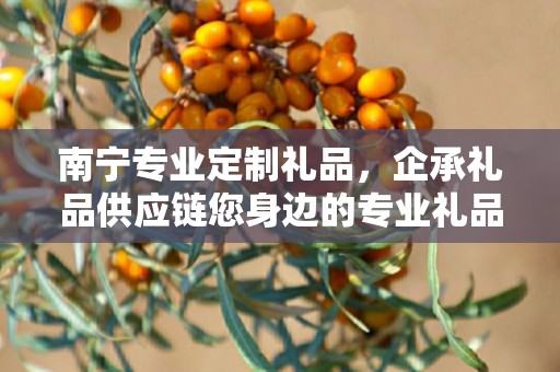 南宁专业定制礼品，企承礼品供应链您身边的专业礼品定制公司