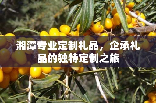湘潭专业定制礼品，企承礼品的独特定制之旅