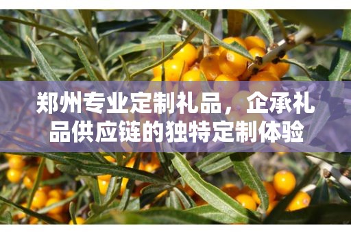 郑州专业定制礼品，企承礼品供应链的独特定制体验