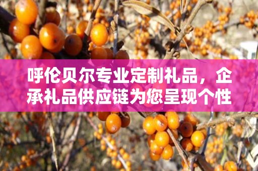 呼伦贝尔专业定制礼品，企承礼品供应链为您呈现个性化定制之选