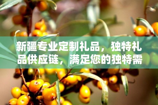 新疆专业定制礼品，独特礼品供应链，满足您的独特需求