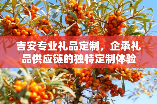 吉安专业礼品定制，企承礼品供应链的独特定制体验