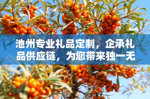 池州专业礼品定制，企承礼品供应链，为您带来独一无二的定制体验