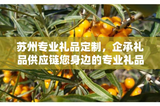 苏州专业礼品定制，企承礼品供应链您身边的专业礼品定制公司