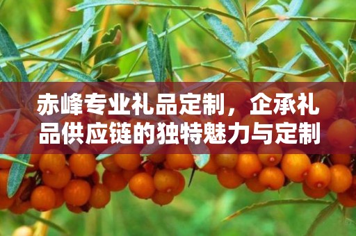 赤峰专业礼品定制，企承礼品供应链的独特魅力与定制之旅