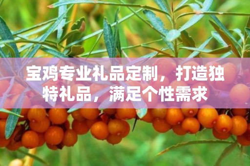 宝鸡专业礼品定制，打造独特礼品，满足个性需求