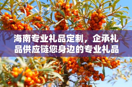 海南专业礼品定制，企承礼品供应链您身边的专业礼品定制公司