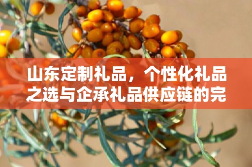 山东定制礼品，个性化礼品之选与企承礼品供应链的完美结合