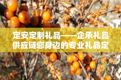 定安定制礼品——企承礼品供应链您身边的专业礼品定制公司