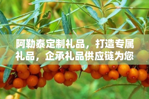 阿勒泰定制礼品，打造专属礼品，企承礼品供应链为您助力