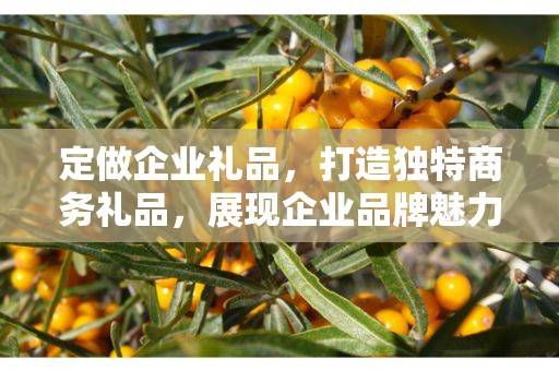 定做企业礼品，打造独特商务礼品，展现企业品牌魅力