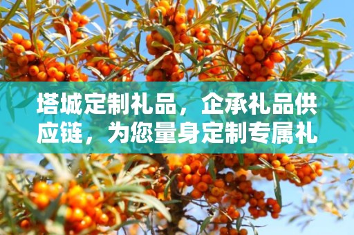 塔城定制礼品，企承礼品供应链，为您量身定制专属礼品