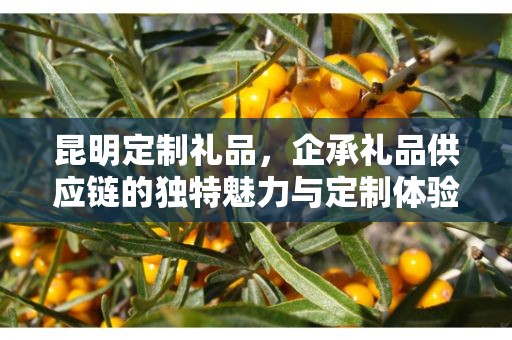 昆明定制礼品，企承礼品供应链的独特魅力与定制体验