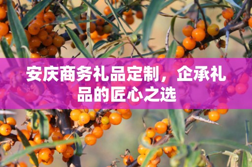 安庆商务礼品定制，企承礼品的匠心之选