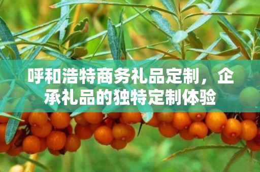 呼和浩特商务礼品定制，企承礼品的独特定制体验